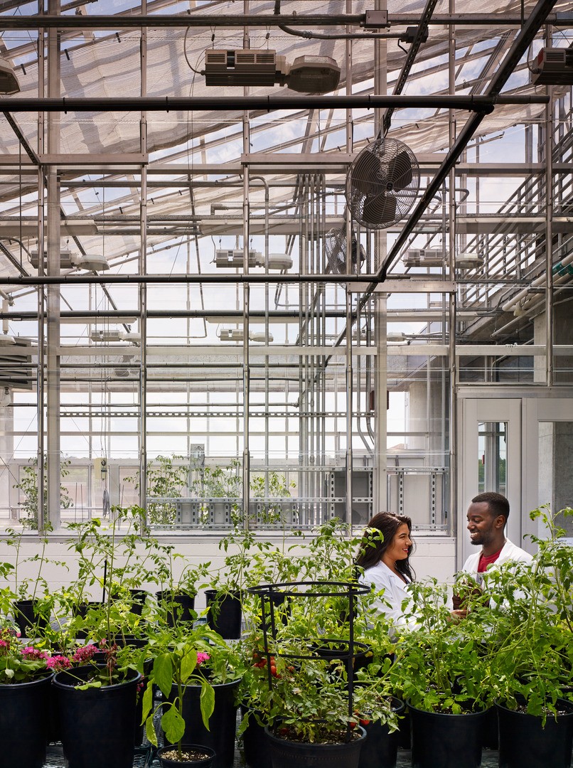 Bowie State Natural Science Complex