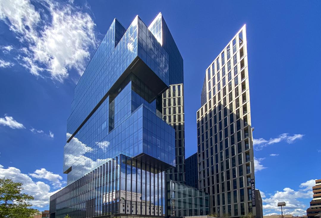 The Wilson & The Elm