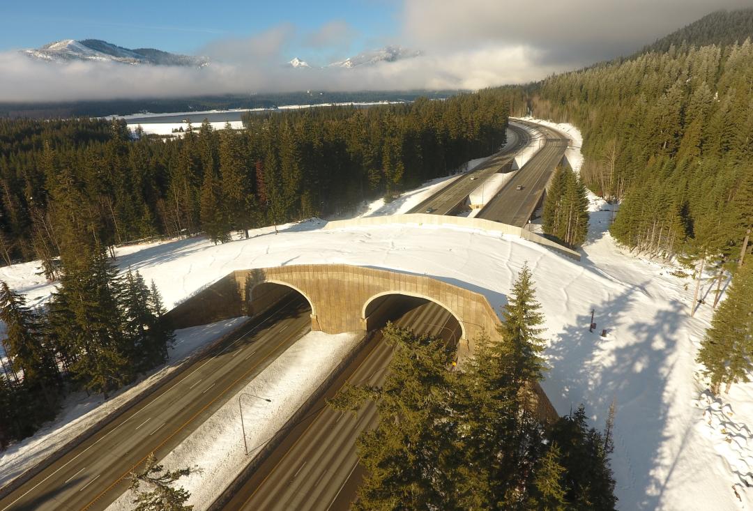 I-90 Keechelus Dam to Stampede Pass Phase 2A
