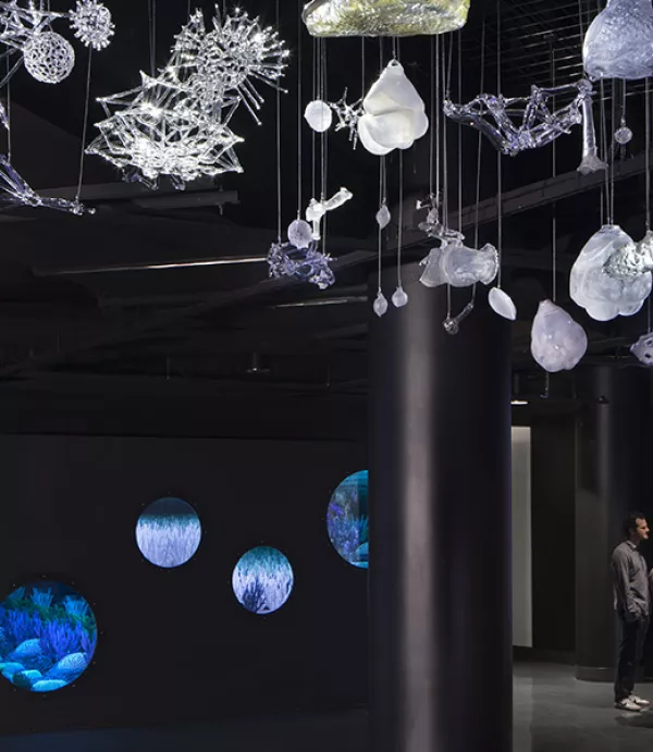 Aquarium of the Pacific Opens New Pacific Visions Wing 